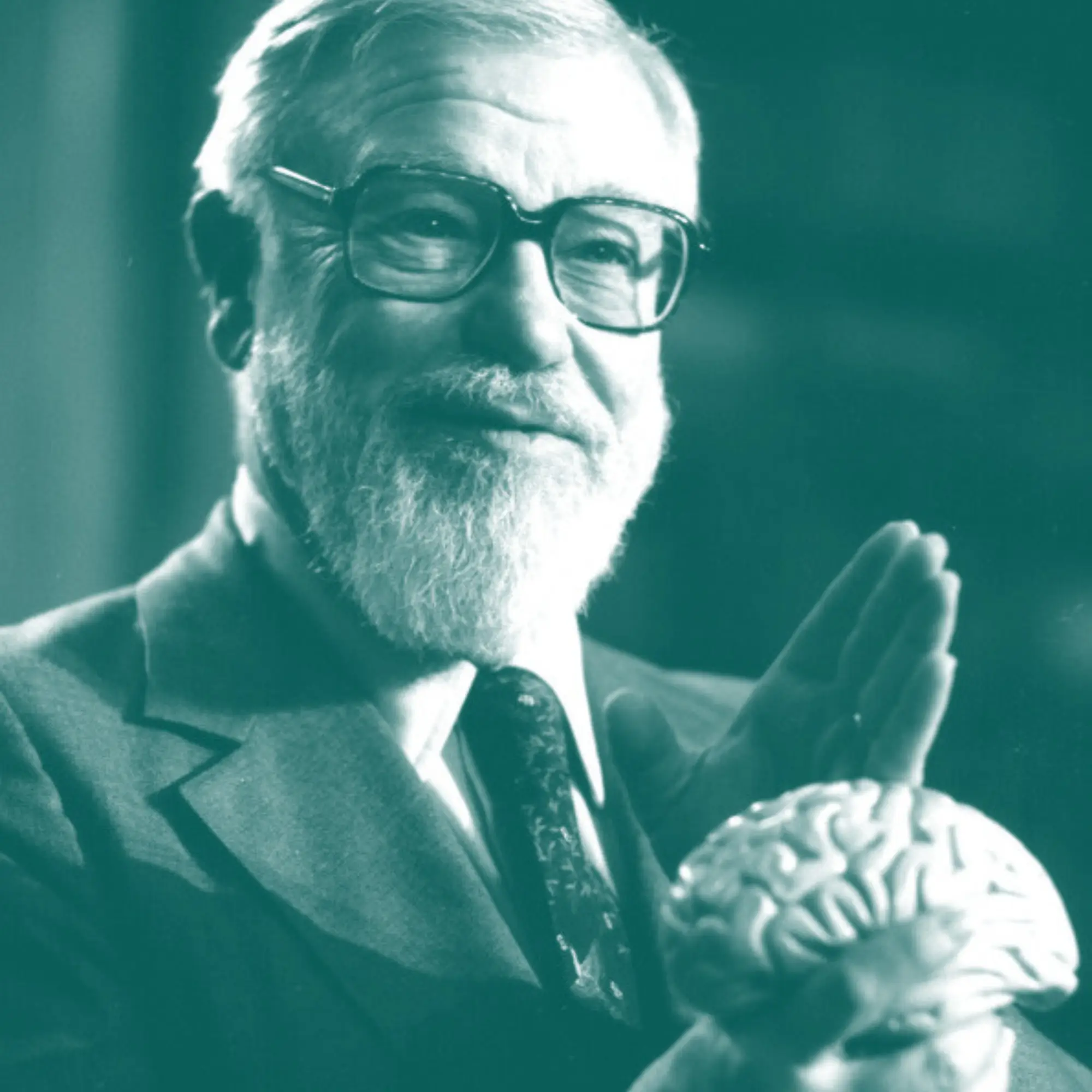 glenn doman research child development research crawlaroo doman infant crawling track motor skills